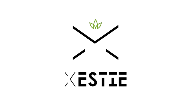 Xestie